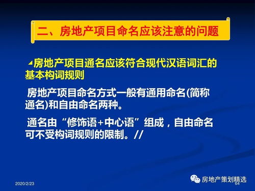 房地產(chǎn)項目主題策劃與公關服務全案